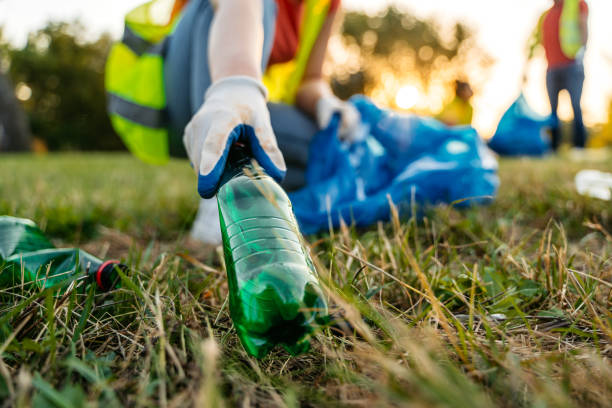 Yard Cleanup Services in Rehobeth, AL